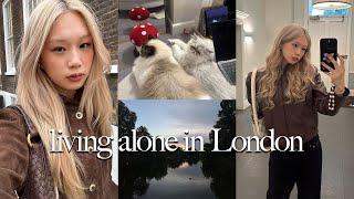 back home after a month of travelling | living alone vlog