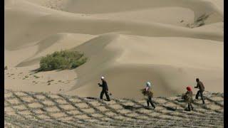 Китайская пустыня превратилась в оазис после 70 лет озеленения⁠⁠