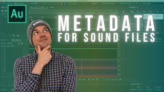 Simplify Metadata Writing For Field Recording with Universal Category System