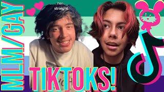 MLM (Gay) TikToks! | TikTok Bunny Compilation | #tiktokviral #lgbt #mlm #gay #pride #lgbtq #pride