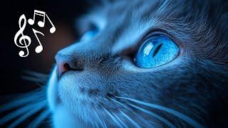 Calming Rain Music for Cats & Humans - Soothing Kitten Sleep Music for Relaxation