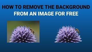 How to remove the background from an image and make it transparent