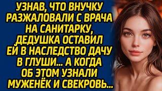 Узнав, что внучку разжаловали с врача на санитарку, дедушка оставил ей в наследство дачу в глуши…