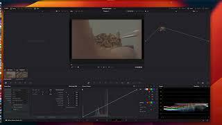 DaVinci Resolve BRAW and LUT 09052023