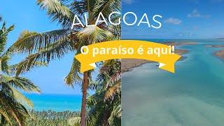 De Norte a Sul: Conheça as Praias Deslumbrantes de Alagoas!