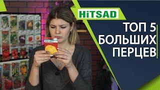 ТОП 5 ТОЛСТОСТЕННЫХ ПЕРЦЕВ  ️