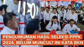 Jawaban BKN soal Pengumuman Hasil Seleksi PPPK 2024 Belum Muncul