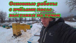 РАННЯЯ ВЫСТАВКА ПЧЁЛ, КАКИЕ НЕОБХОДИМЫЕ РАБОТЫ НУЖНО СДЕЛАТЬ С ПЧЕЛОСЕМЬЯМИ