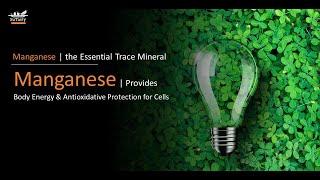 Manganese (Mn) | Protects our bodies Against Oxidative Damage | The essential trace mineral