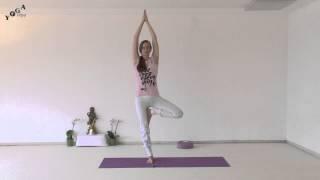 Standing Sequence - Yoga Tree, Airplane and Dancer Natarajasana