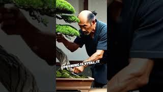 bonsai beginers #shorts #bonsai