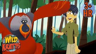 Super Smart Orangutans | Full Episodes | Wild Kratts