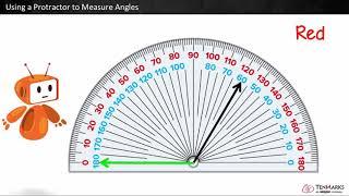 Using a Protractor to Measure Angles: 4.MD.6