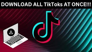 How to download all your TikTok videos at once - NO WATERMARK STEP BY STEP FREE