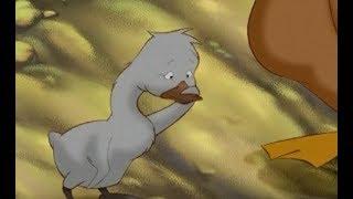 El Patito Feo - Hans Christian Andersen / videos-infantiles.net