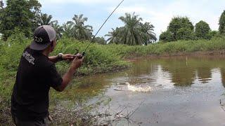 TAK DI DUGA..! DANAU YANG KAMI TEMUKAN MASIH DI HUNI IKAN GABUS BESAR || CASTING SNAKEHEAD