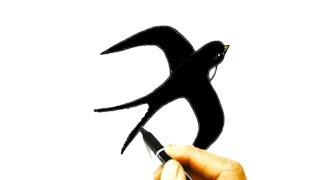 How to draw a swallow |Сурет салу Қарлығашты|Как нарисовать Ласточка