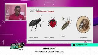 SHS 2 - Biology  -  Orders of class insecta