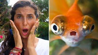 Why I'll NEVER Eat Fish AGAIN...