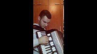 Viber ringtone-accordion