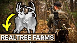 HANG and HUNT on REALTREE FARMS // Bowhunting BIG Southern Whitetail!