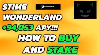 How To Stake TIME Wonderland  How To Buy Wonderland Crypto Video