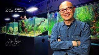 Learn how to aquascape from IAPLC Winner - Dave Chow - TAOTPA 2019