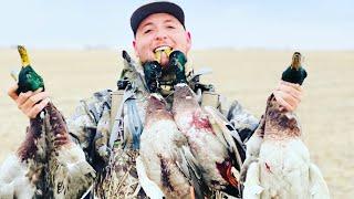 My Duck Hunting setup & gear review            Sitka,Drake waterfowl, Banded!!!