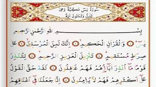 Surah Yasin - Saad Al Ghamdi surah yasin with Tajweed