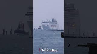 #shorts MSC Armonia in Venice | Cruise Ship #shipspotting #cruise