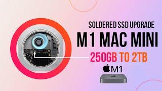 M1 Mac Mini  SSD Upgrade  250GB to 2TB  #2023