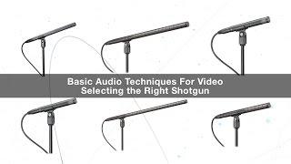Basic Audio Techniques for Video: Selecting the Right Shotgun Mic