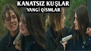 QANOTSİZ QUSHLAR SERİALİ YANGİ QİSMLAR