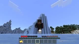 Minecraft Ice-Biome House