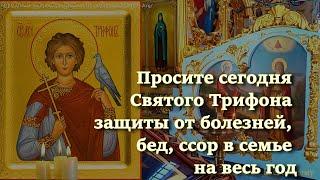 Просите сегодня Святого Трифона защиты от болезней, бед и ссор в семье на весь год