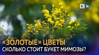 Мимоза появилась в продаже на Кубани: где и в какую цену можно купить букет?