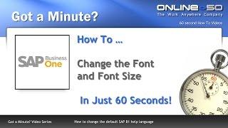 SAP Change Font Size
