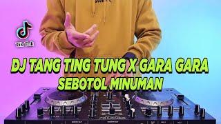 DJ TANG TING TUNG X GARA GARA SEBOTOL MINUMAN REMIX FULL BASS VIRAL TIKTOK TERBARU 2024