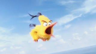 Angry Birds - Chuck Attacks | official FIRST LOOK clip (2016)