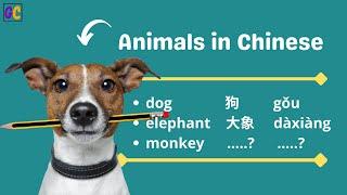 Animals in Mandarin Chinese | Beginners Mandarin | Chinese Basics