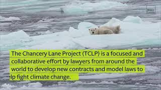 Pro bono in action: Supporting The Chancery Lane Project in its fight against climate change