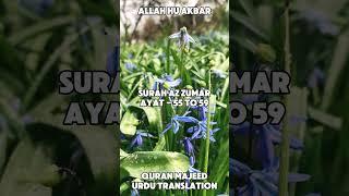 Surah As Zumar Ayat - 55 to 59