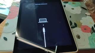 Tried to fix Itunes Error 4013 on an ipad 6 this weekend.  Failed miserably.  Must be hardware Issue