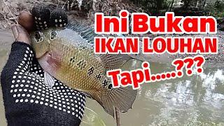 Mancing sehabis Banjir... lihat Hasilnya