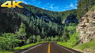 Colorado Rocky Mountain Scenic Drive on Grand Mesa Scenic Byway 4K