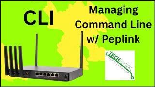 Peplink B One/B One 5g: How to Implement and Use CLI