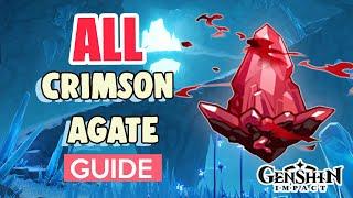How to: GET ALL CRIMSON AGATE COMPLETE GUIDE | Genshin Impact