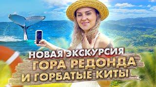 Горбатые Киты в заливе Самана и Гора Редонда - новая экскурсия!