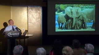 Elephants or People? Ethical Dilemmas in Recovering Endangered Species -- The Silent Spring Series