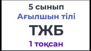 5 сынып Ағылшын тілі ТЖБ 1-тоқсан